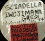 Sciadella iwojimana allotype labels 2